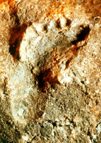 impronta di un piede dell'uomo preistorico